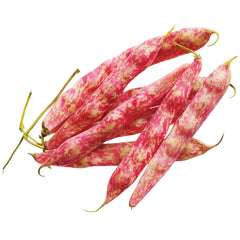 Supermarché PA Cranberry Beans approx. package 300g