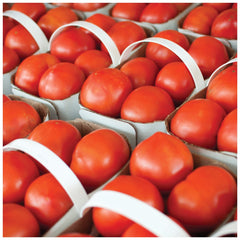 Supermarché PA Field Tomato Basket 4L