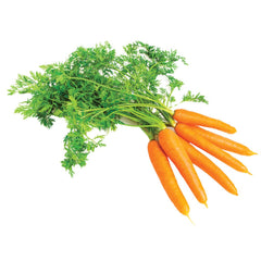 Supermarché PA Fresh Carrots per bunch (4-5 Carrots)
