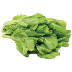 Supermarché PA Gai Choy per bunch