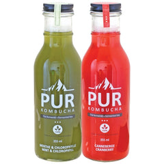 Pur Organic Kombucha 355ml