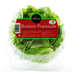 Mirabel Live Boston Lettuce per unit
