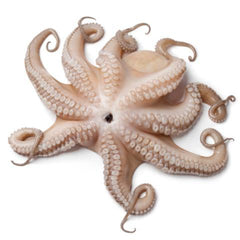 Supermarché PA Whole Octopus per unit (approx. 2kg)