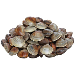 Supermarché PA Pasta Clams approx. package 500g