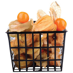 Supermarché PA Ground Cherries (Physalis) per basket