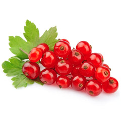 Supermarché PA Red Currants 1/2 pint