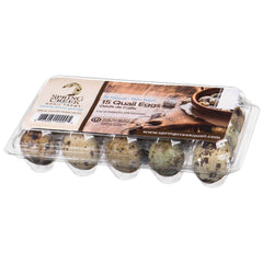 Spring Creek Quail Eggs 15