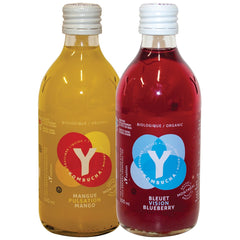 Y Organic Kombucha 300ml