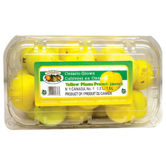 Supermarché PA Yellow Plums 1.5L